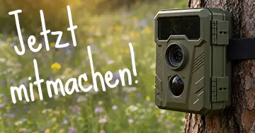 Unsere Mission: 1 Follower = 1 Euro Hilfe!